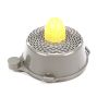 CITRUS PERS R301U GEEL