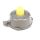 CITRUS PERS R301U GEEL